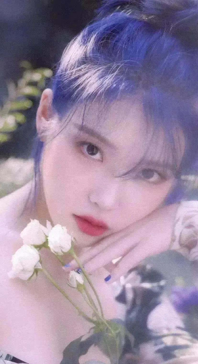 姹紫嫣红霞笼雾，佳酿温馨浅浅歌