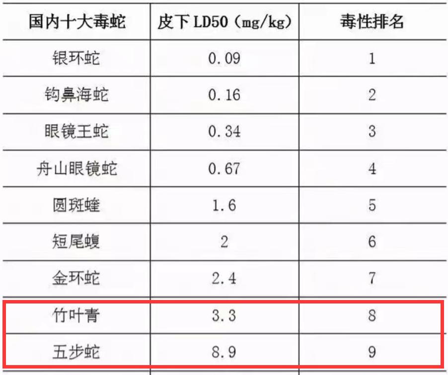 卧室内惊现毒蛇,长沙一家出现毒蛇