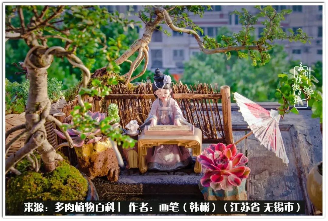 月满西楼别有一番滋味在心头,绿肥红瘦