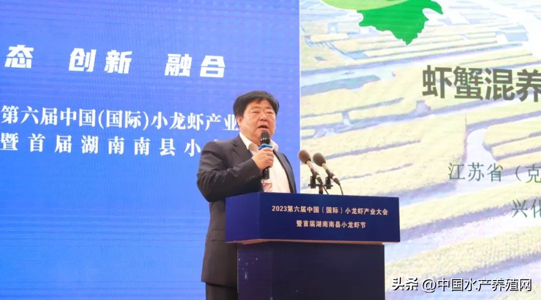 2023年南县小龙虾价格行情,南县小龙虾价格报价