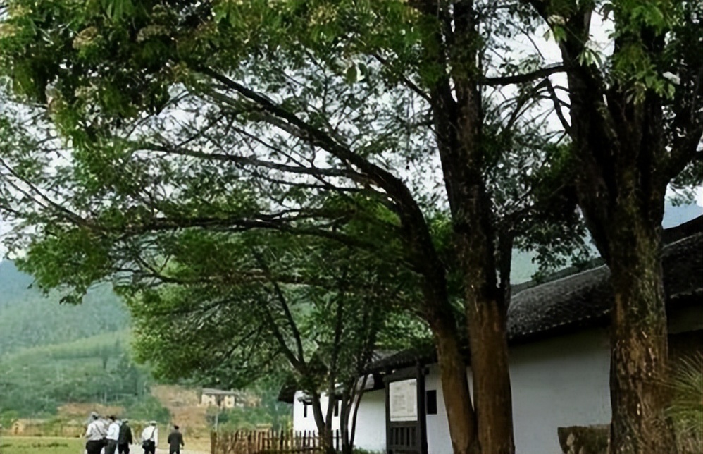 民间老话门前不栽树,屋前不栽竹屋后不栽树是什么意思