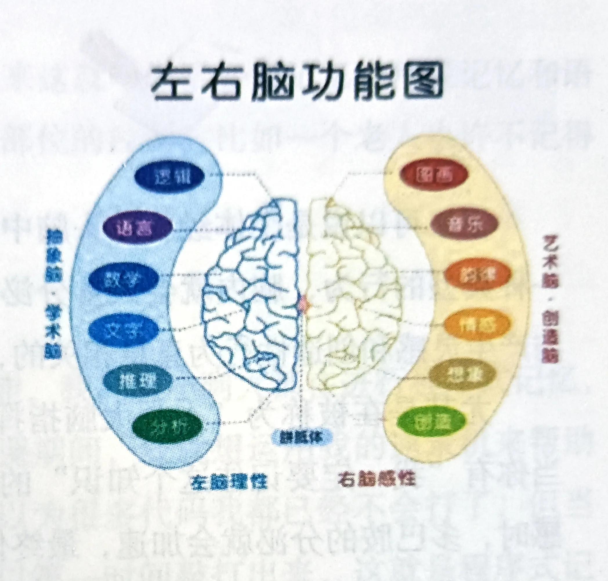 提高记忆力和学习能力,提高记忆力的方法最强大脑