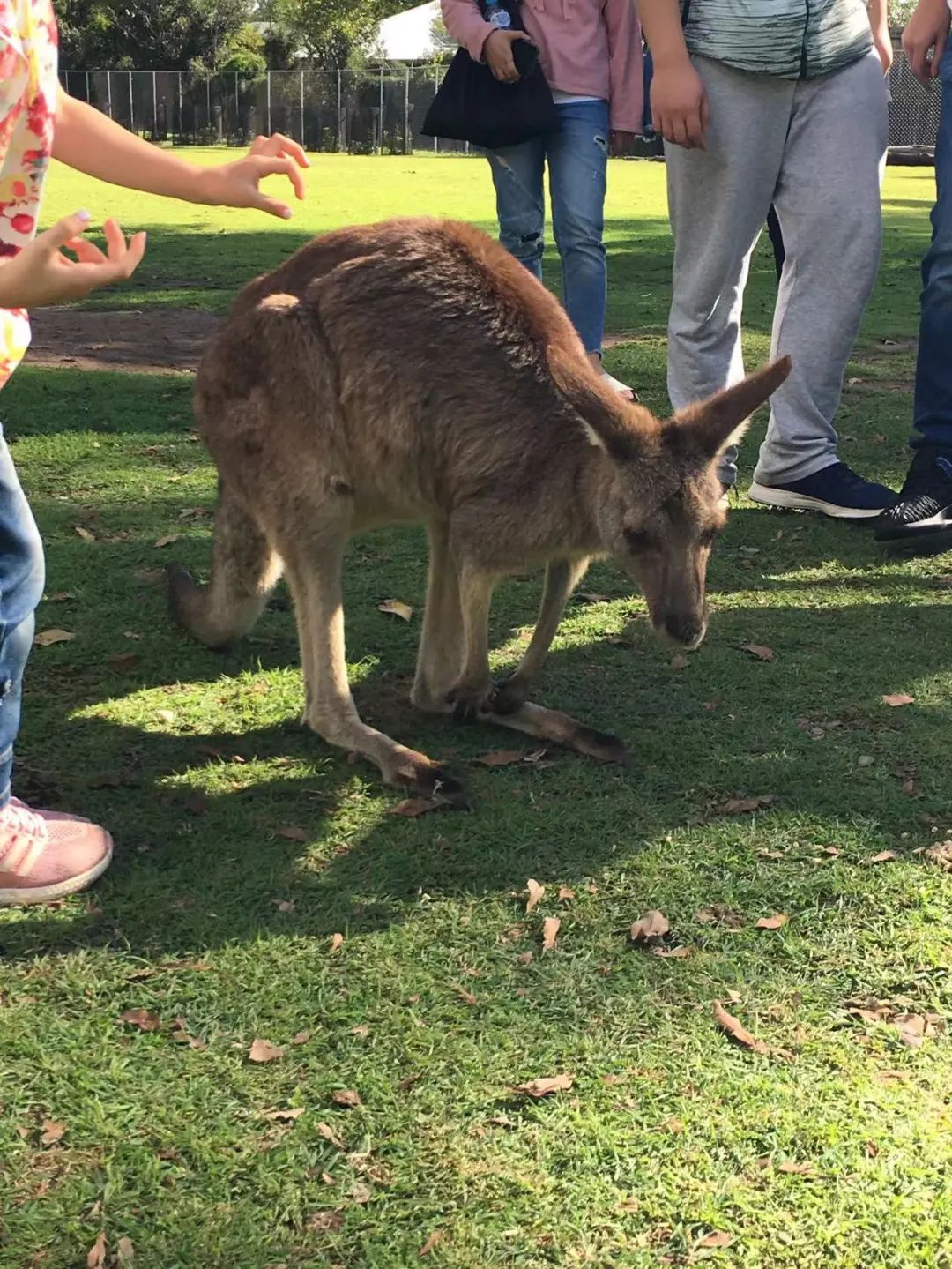 口碑好的澳大利亚留学攻略,澳大利亚留学规划推荐