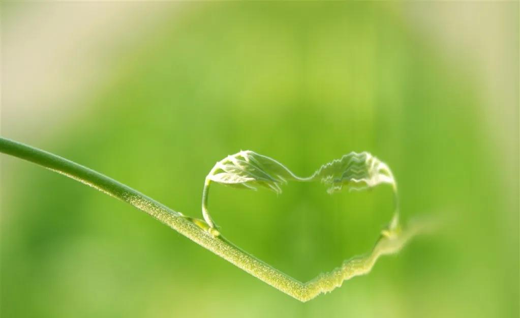 立体爱心壁纸背景图,心形壁纸背景闪图