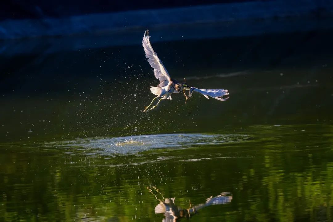 这座海滨小城可真美丽,小众旅行海边小城市