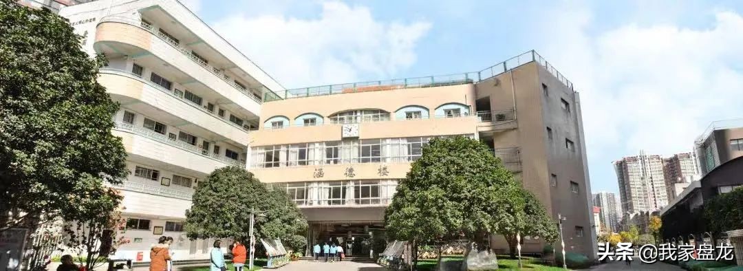 爱打篮球能考什么学校,爱打篮球吗