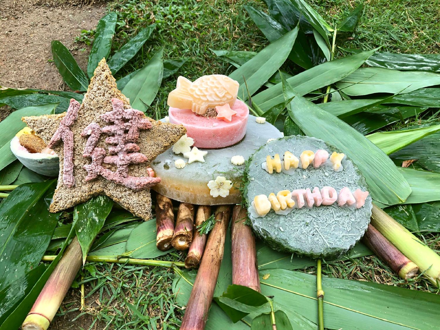 熊猫界最顶流的家族,熊猫界曾经的顶流