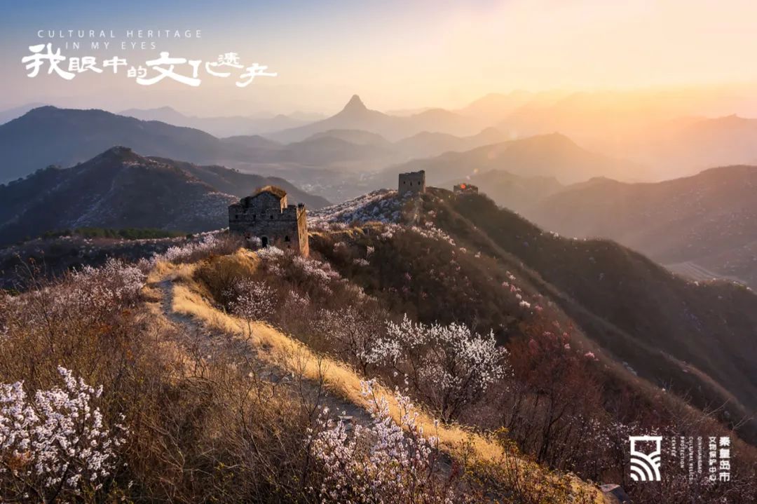 长城中国文化遗产作文,我身边的文化遗产长城