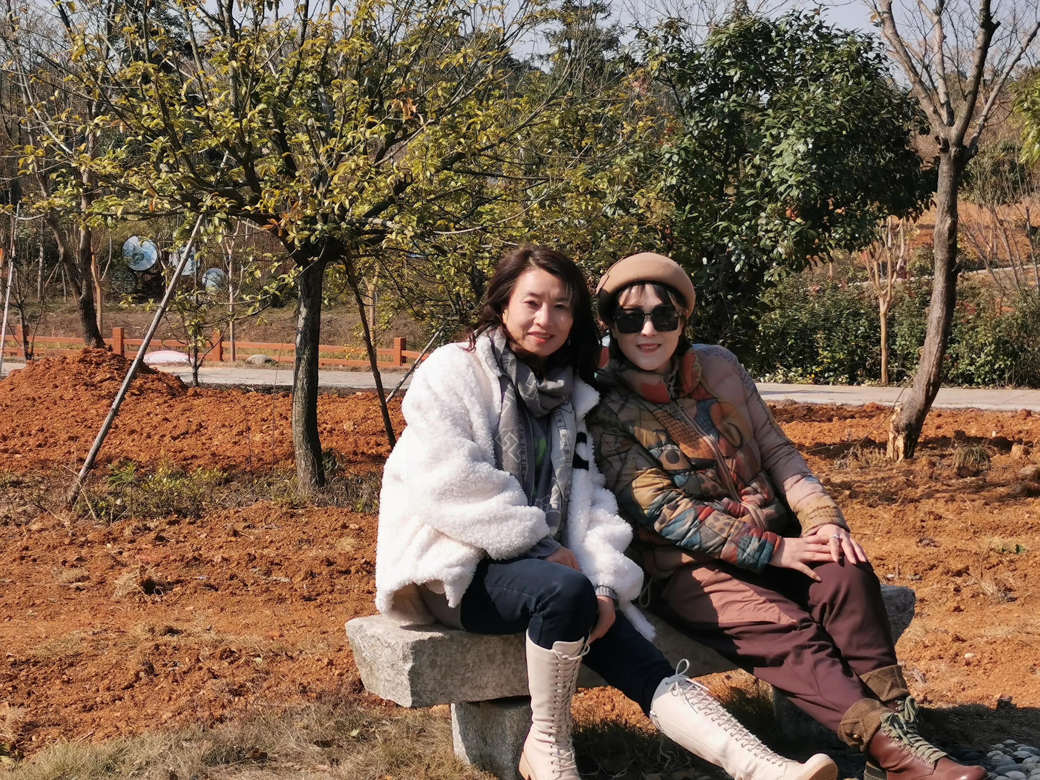 红杉林之恋,红杉林之恋完整版