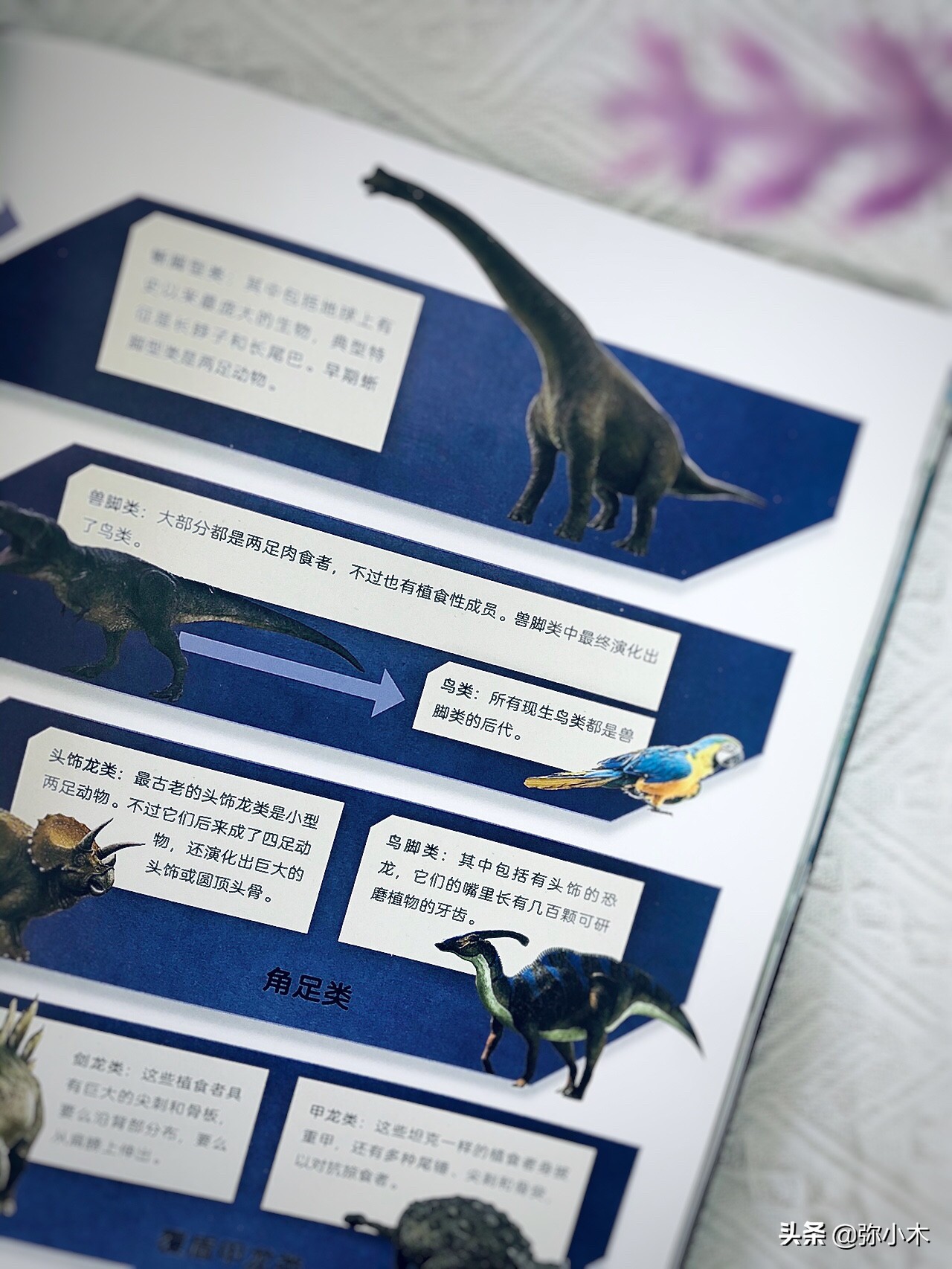 如何给孩子选一本恐龙百科书,适合3-6岁儿童看的恐龙书籍