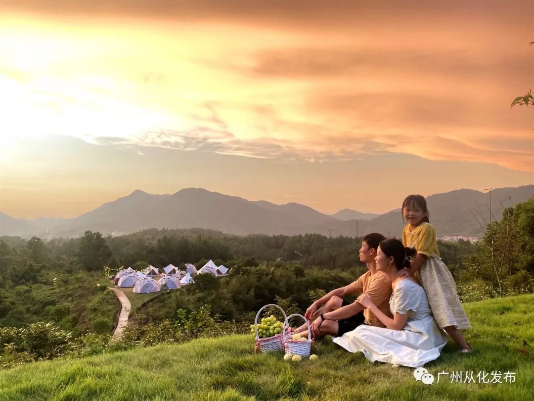 新春攻略生肖派对,新年怎么玩好玩