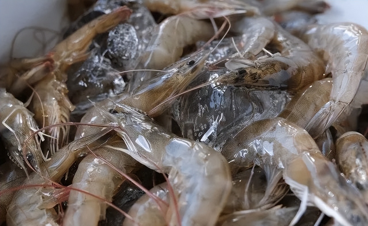 含硒高的前十名食物有哪些,含硒的食物十大排行榜