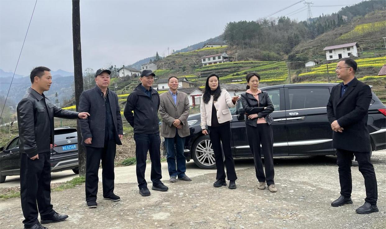 老科协助力乡村振兴绽放银发风采,贵州省科协助力乡村振兴联合体