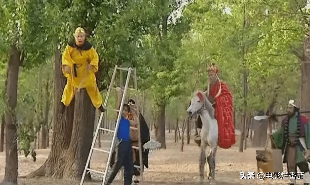 重播次数最多的电视剧排行榜,重播次数最多的连续剧