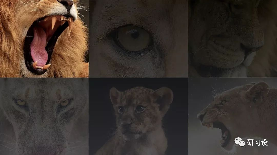 借鉴罗意威logo,logo的设计方法