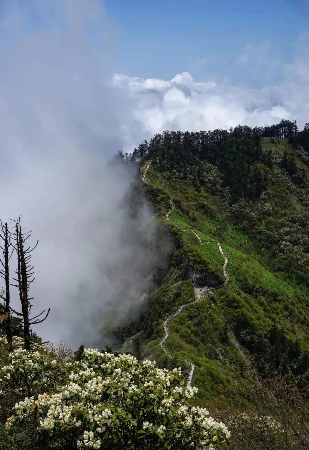 关于四川旅游的诗句古诗词,关于四川景色优美的古诗句