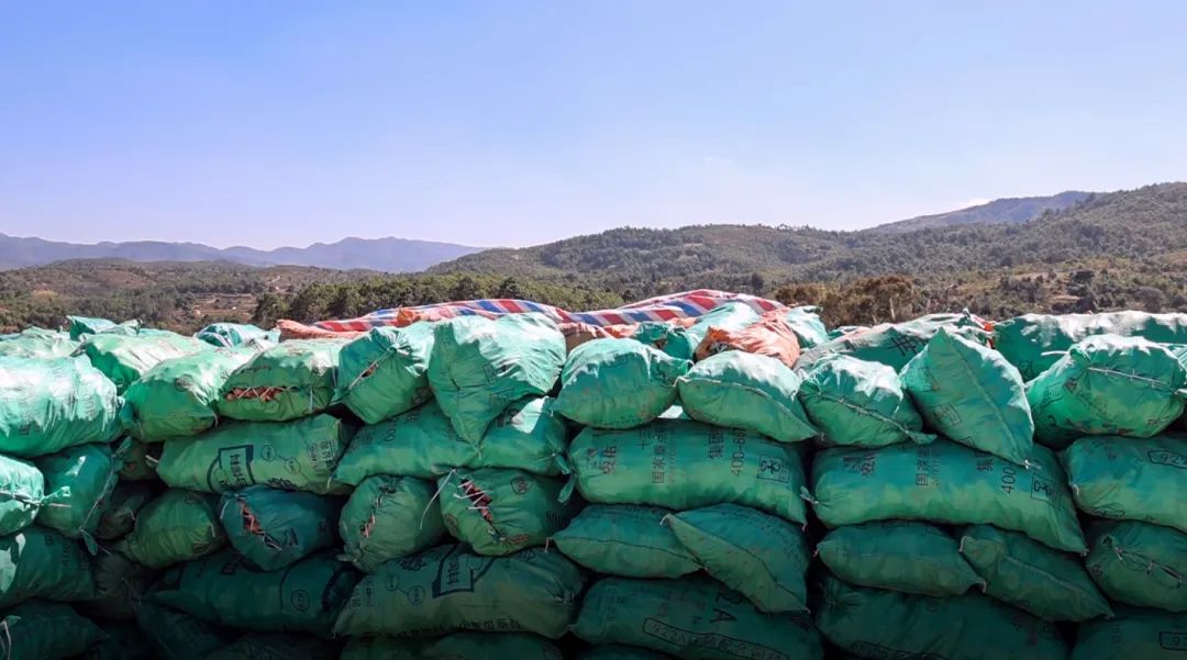 姜来可期什么意思,科技赋能姜来可期