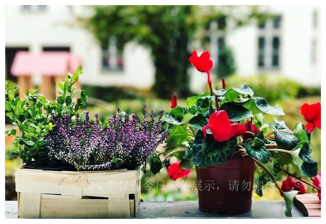 盘点我买过的假鞋,盘点我买过最坑的包