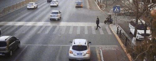 礼让行人奖励油卡,礼让行人加油券在哪里领取