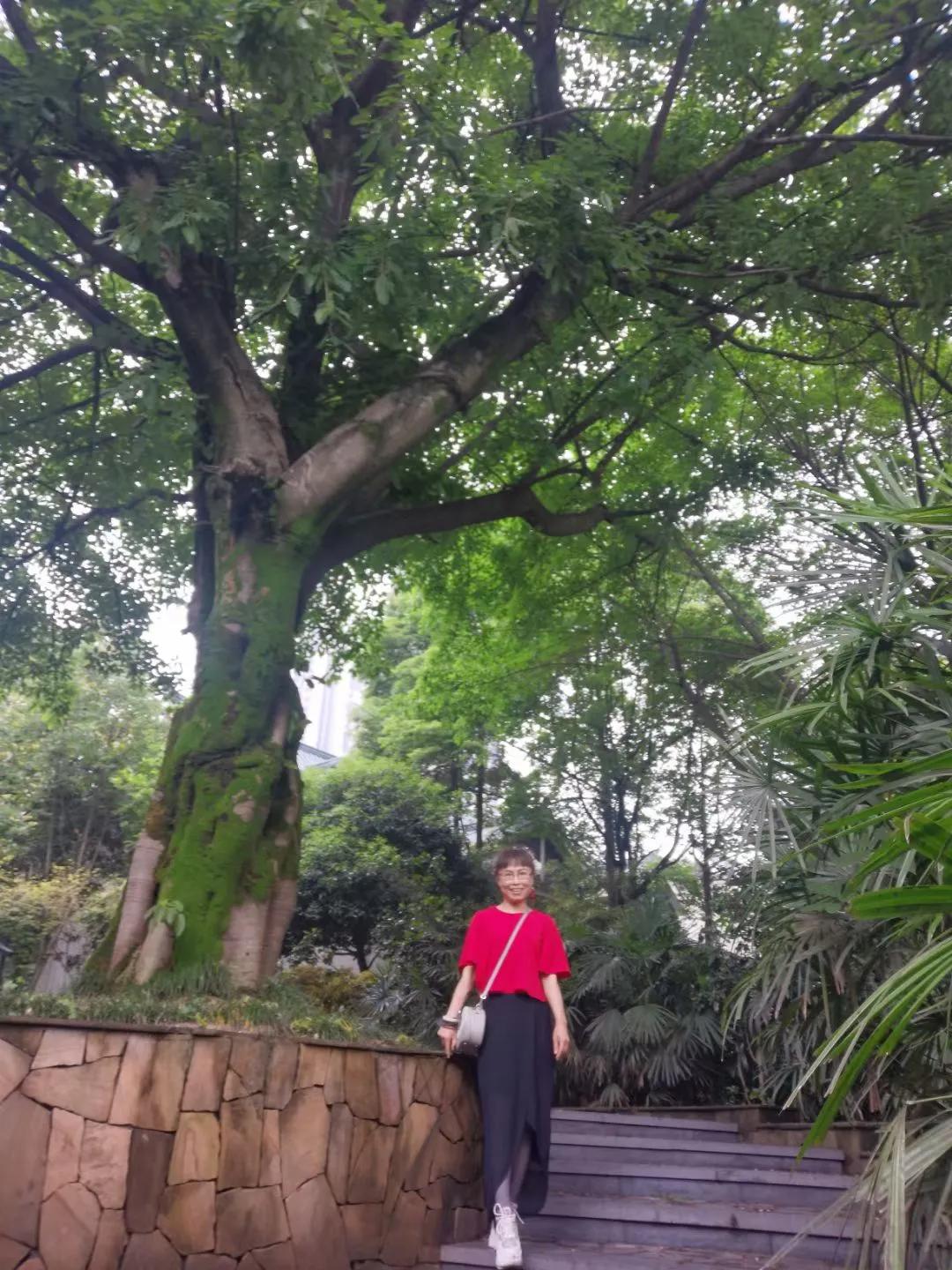 重庆巴国城地址在哪里,重庆巴国城街