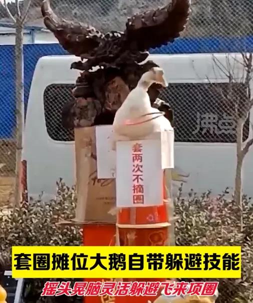 成本75元的羽绒服标价1598元,成本75元羽绒服卖1598元