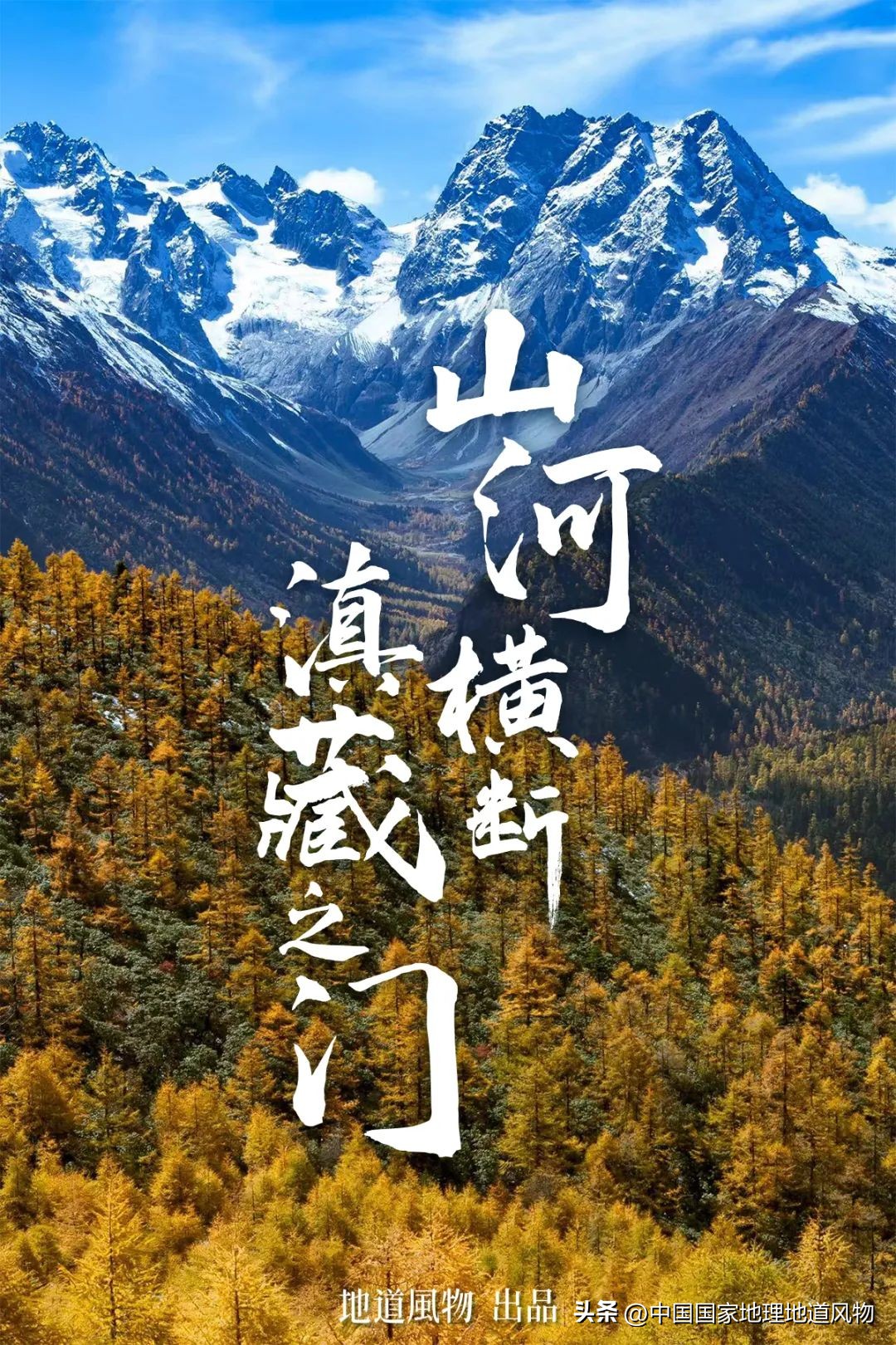 我国哪里盛产火龙果,全国最大的火龙果基地是哪里