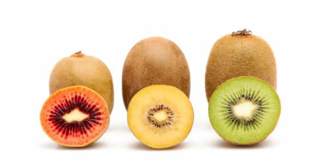 新西兰猕猴桃和中国的区别,新西兰猕猴桃什么品种最好