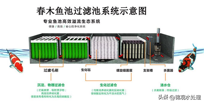 鱼池水质不好怎么处理,庭院鱼池水绿了怎么办