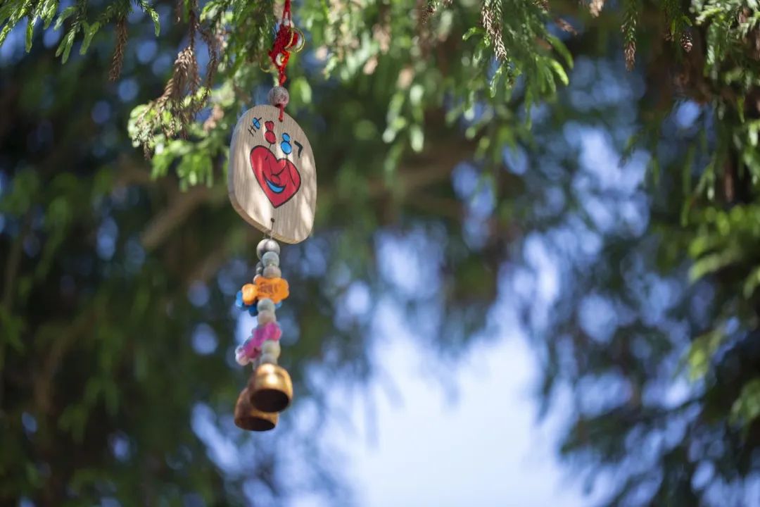 普陀山朱家尖周游记民宿,舟山朱家尖民宿3天2晚多少钱一间