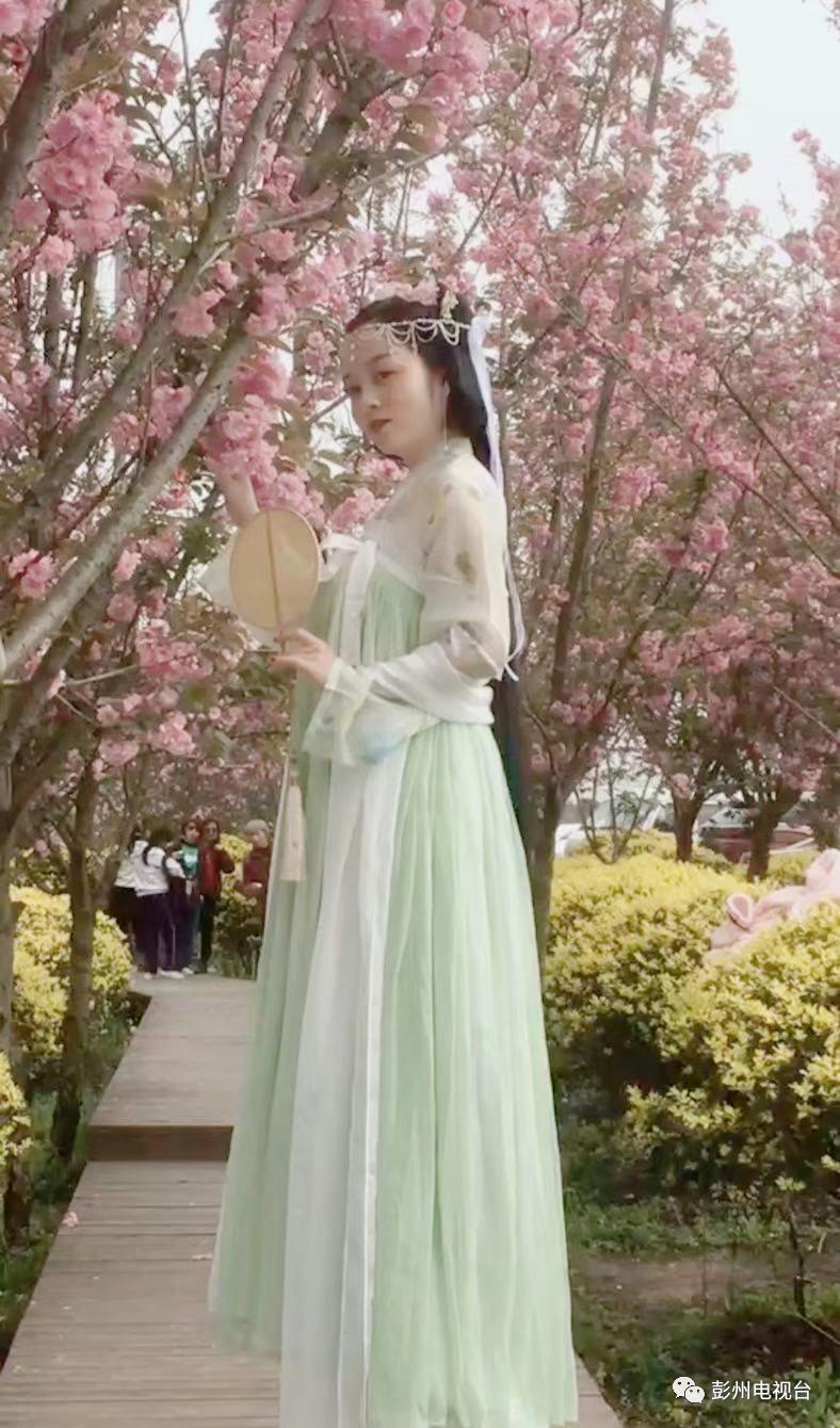 成都周边赏花烧烤一日游推荐免费,成都赏樱花露营