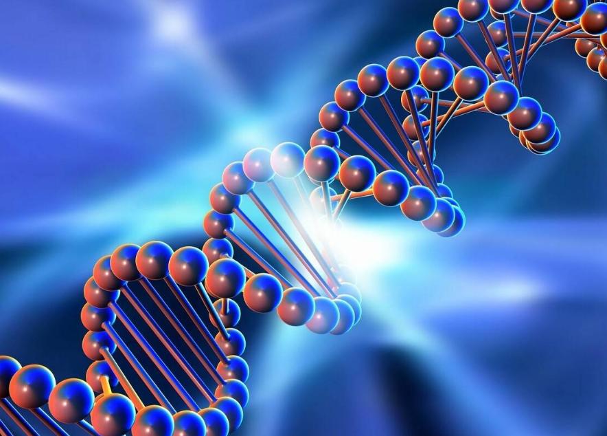 吃他汀降血脂要警惕三类副作用,吃他汀期间这四种东西要远离