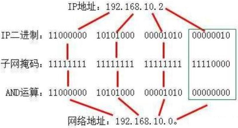 ip地址无分类编辑的特点,ip地址介绍