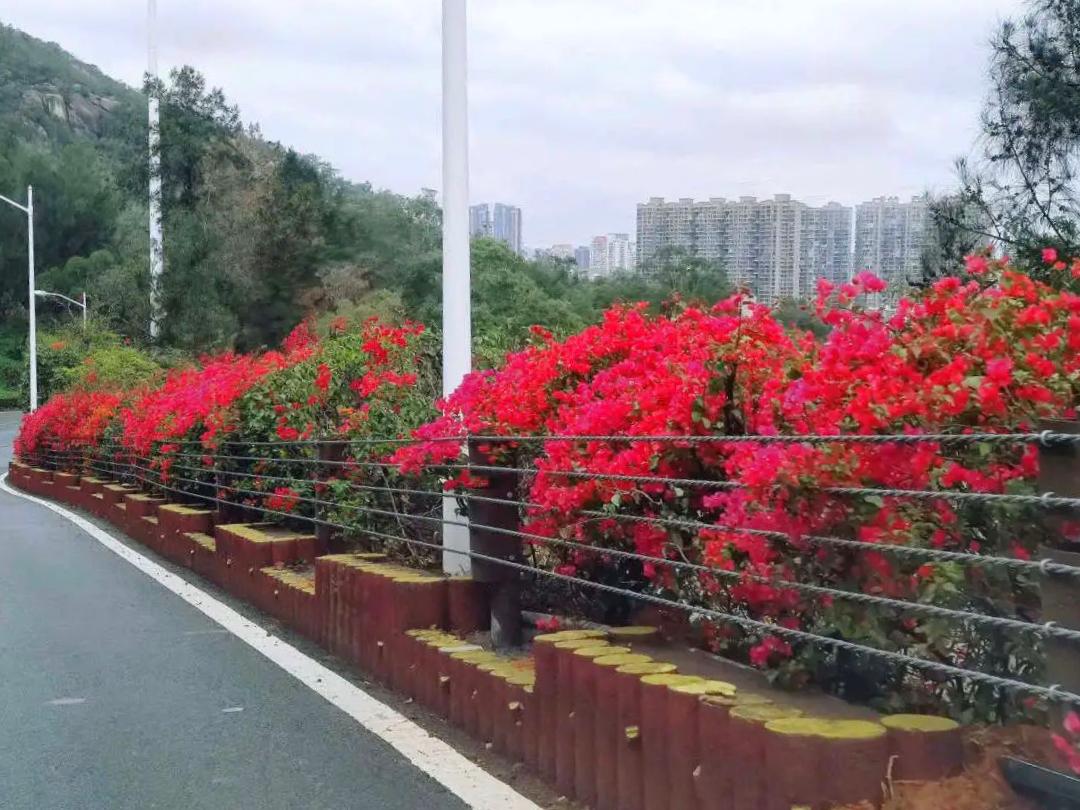 文曾路交安设施全面提升，出行旅游更安心！