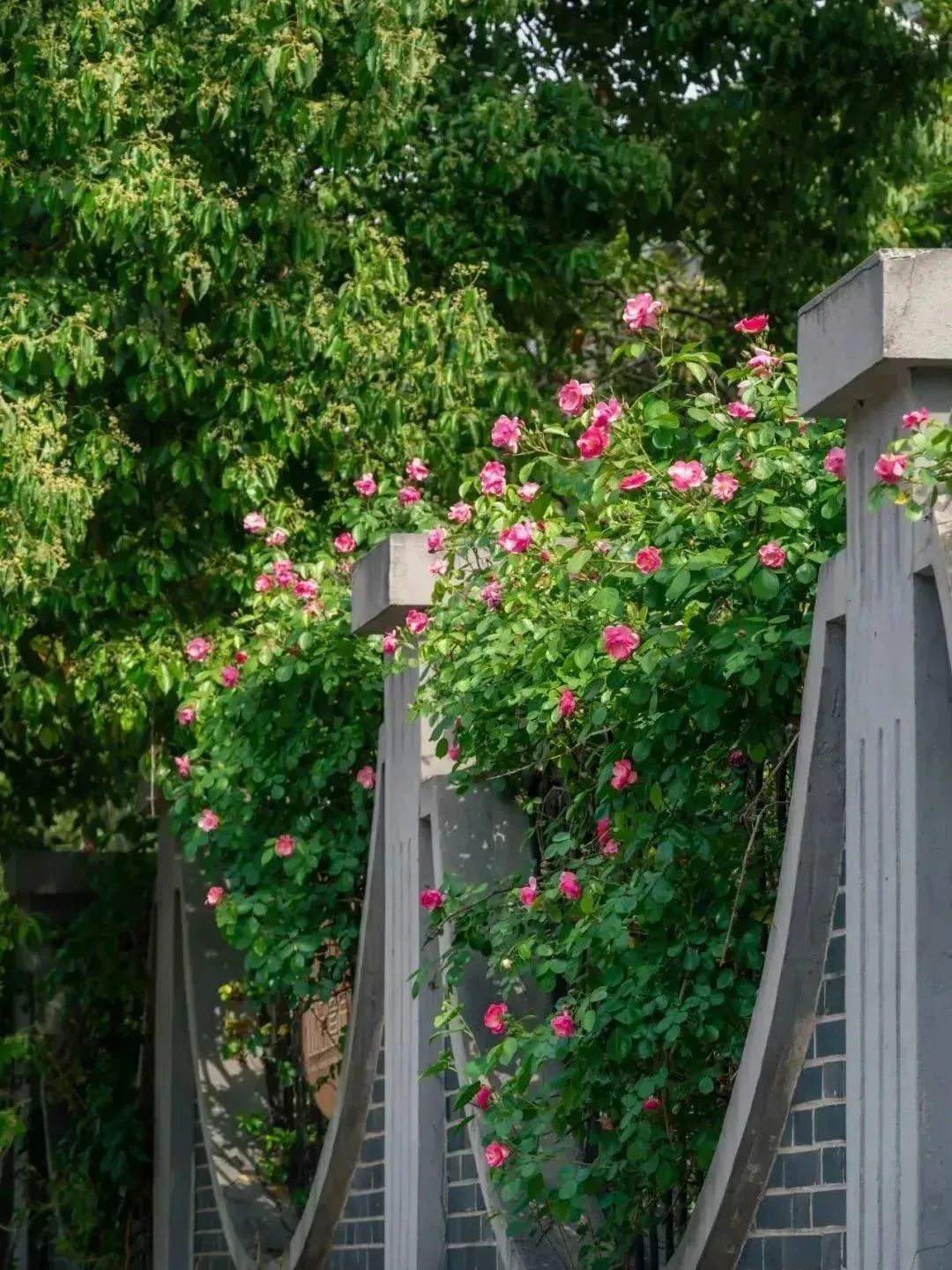 秦淮区的景区有哪些,秦淮最好看的地方