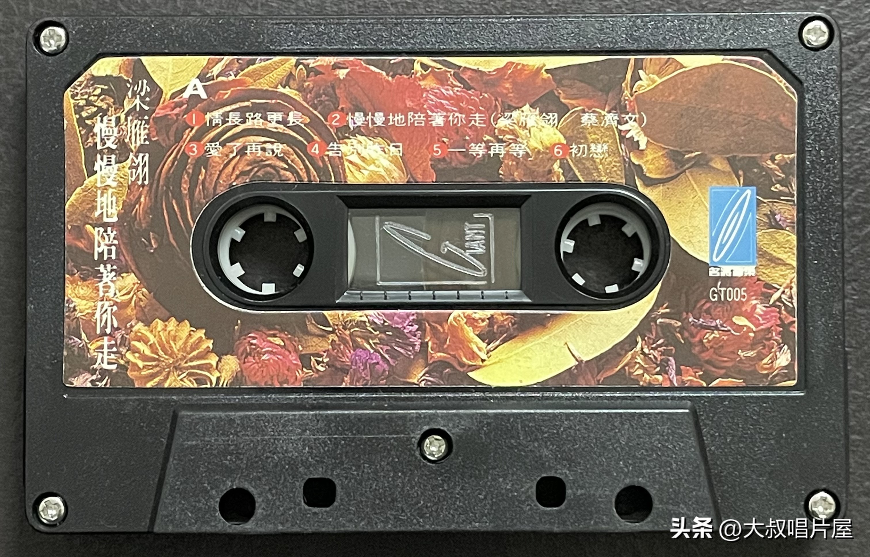 1993年最流行的经典歌曲,1993年最火的50首流行歌