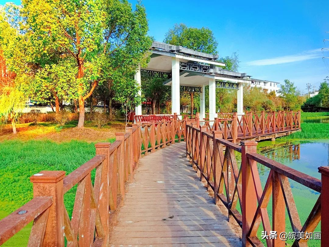 安徽大学好看的风景,高校最美秋景