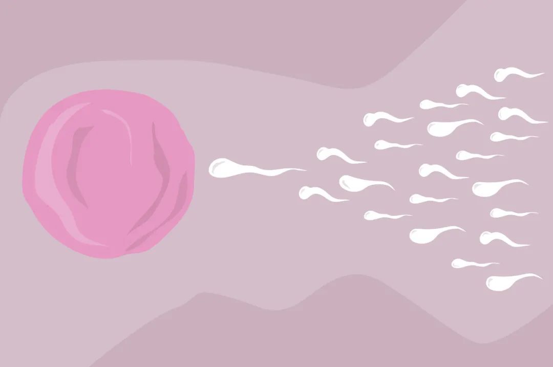 男性生育力“断崖式下跌”！做好这5件事有效提升“精”力！