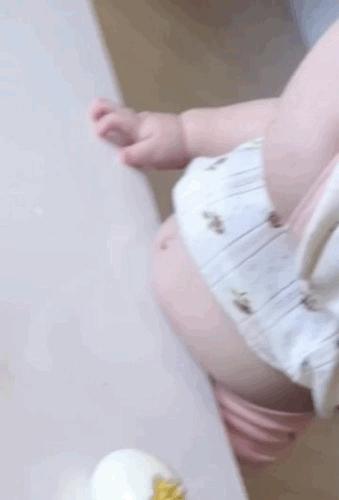 奶猫腹部稍硬就是要排便,奶猫体检