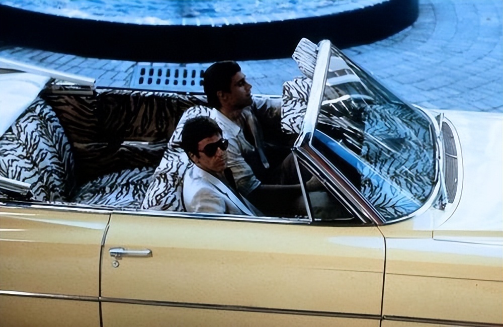 帕尔玛教学视频大全,帕尔玛经典格调