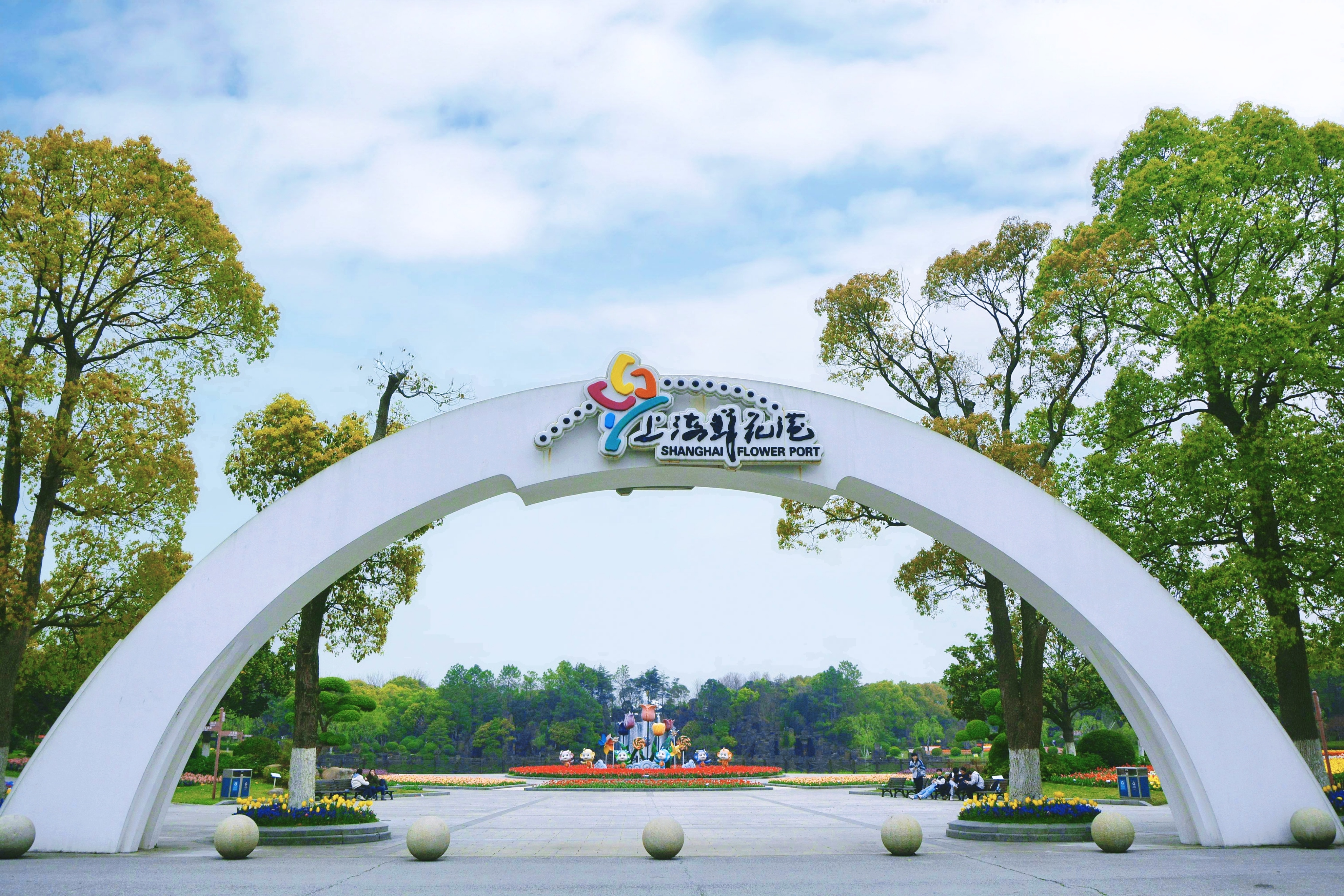 鲜花港郁金香花海,国际鲜花港花海