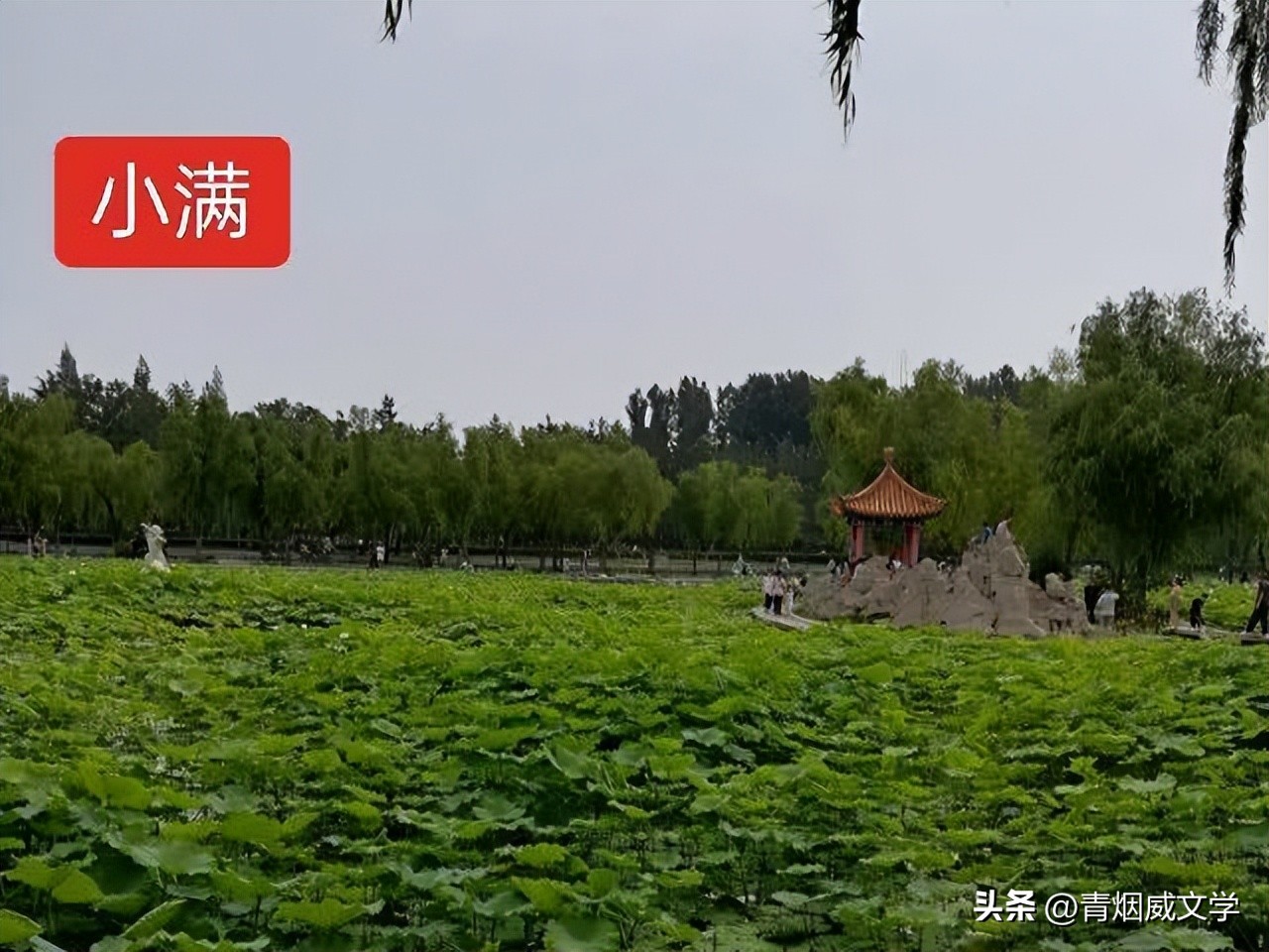 七律小满吟,吟小满七律诗词