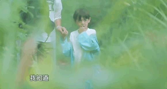 你敢信？七年前的老综现在称霸内娱