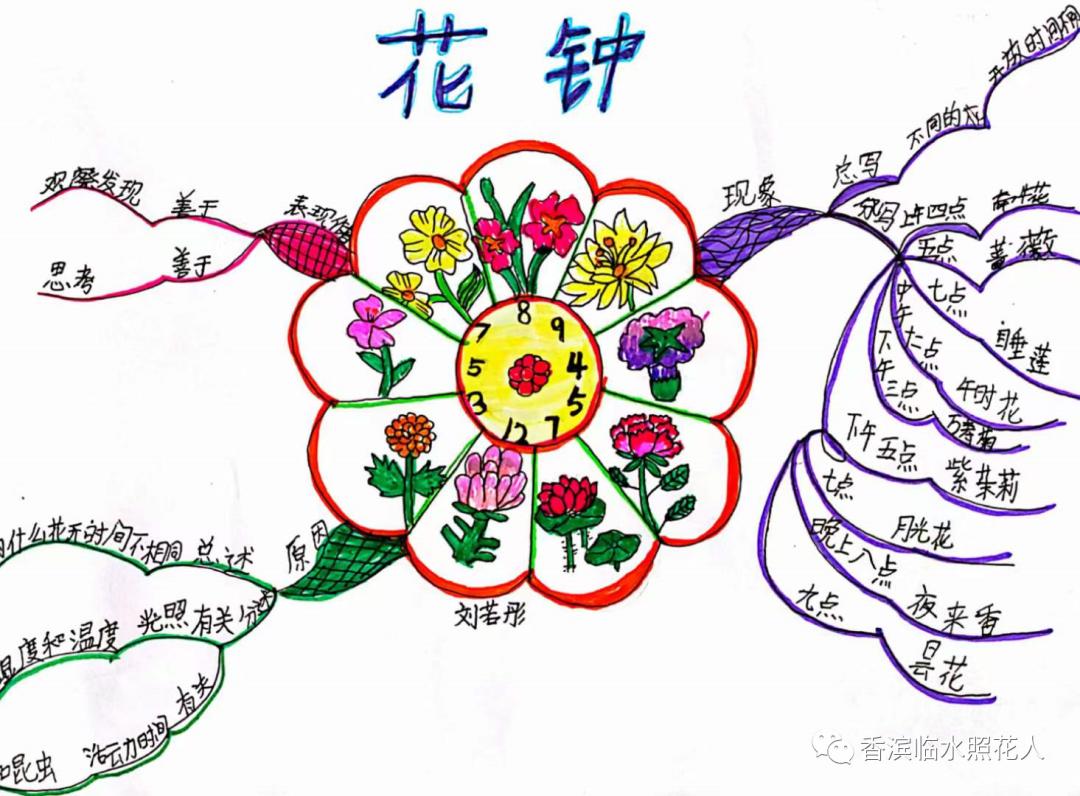 三年级下册语文花钟思维导图简单,三年级下册第13课花钟做思维导图