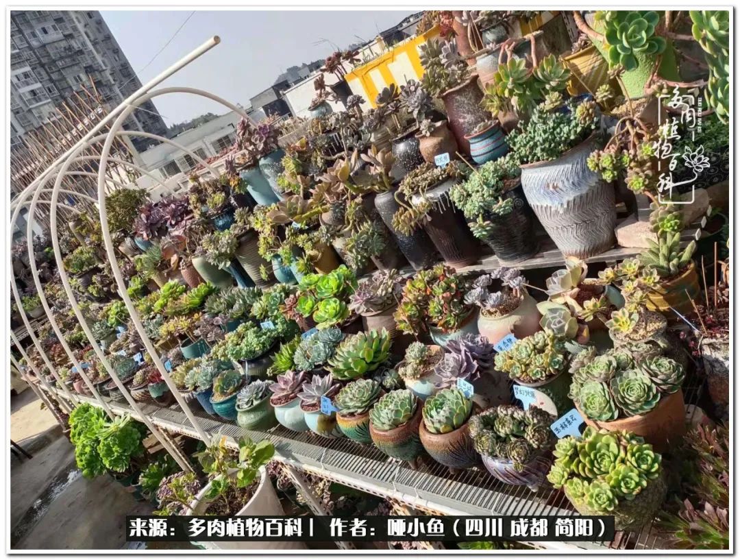 看世间繁华品一生,看世间繁华品人生美味