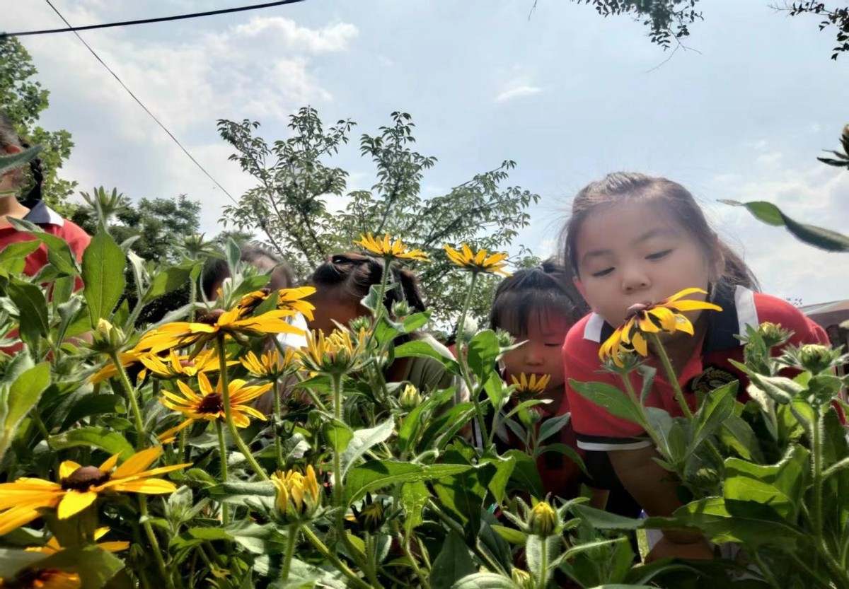 盛夏如花、向阳如初--道朗镇鱼池幼儿园赏花集锦