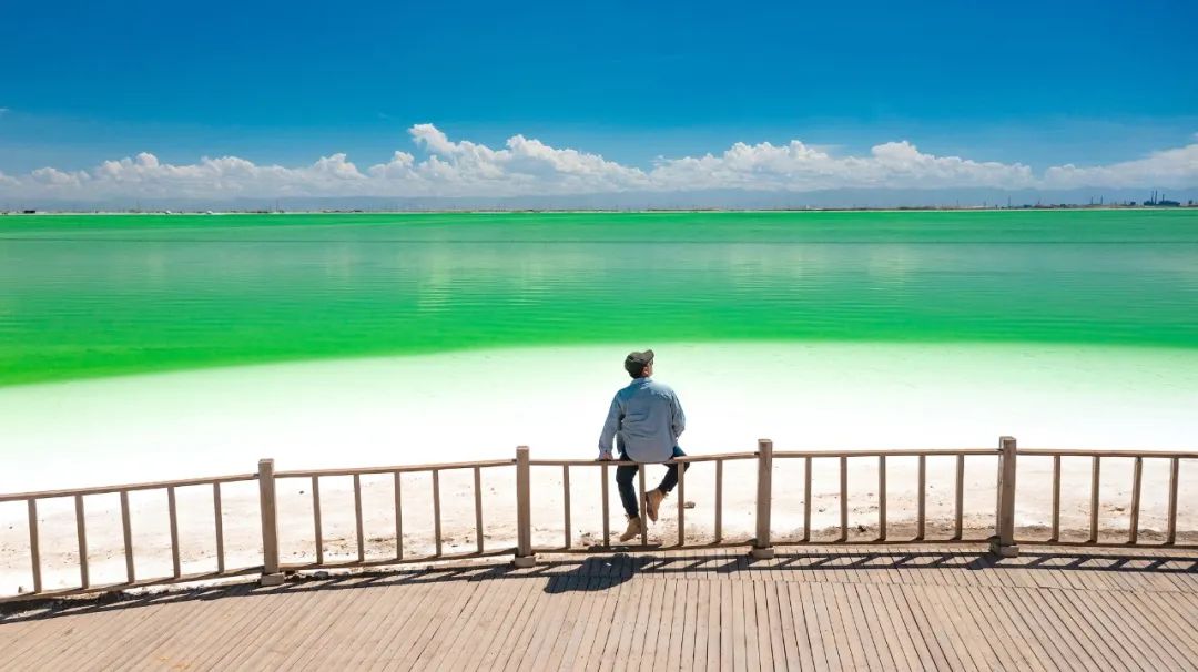夏天哪里看油菜花最美,夏天去哪里看油菜花最好