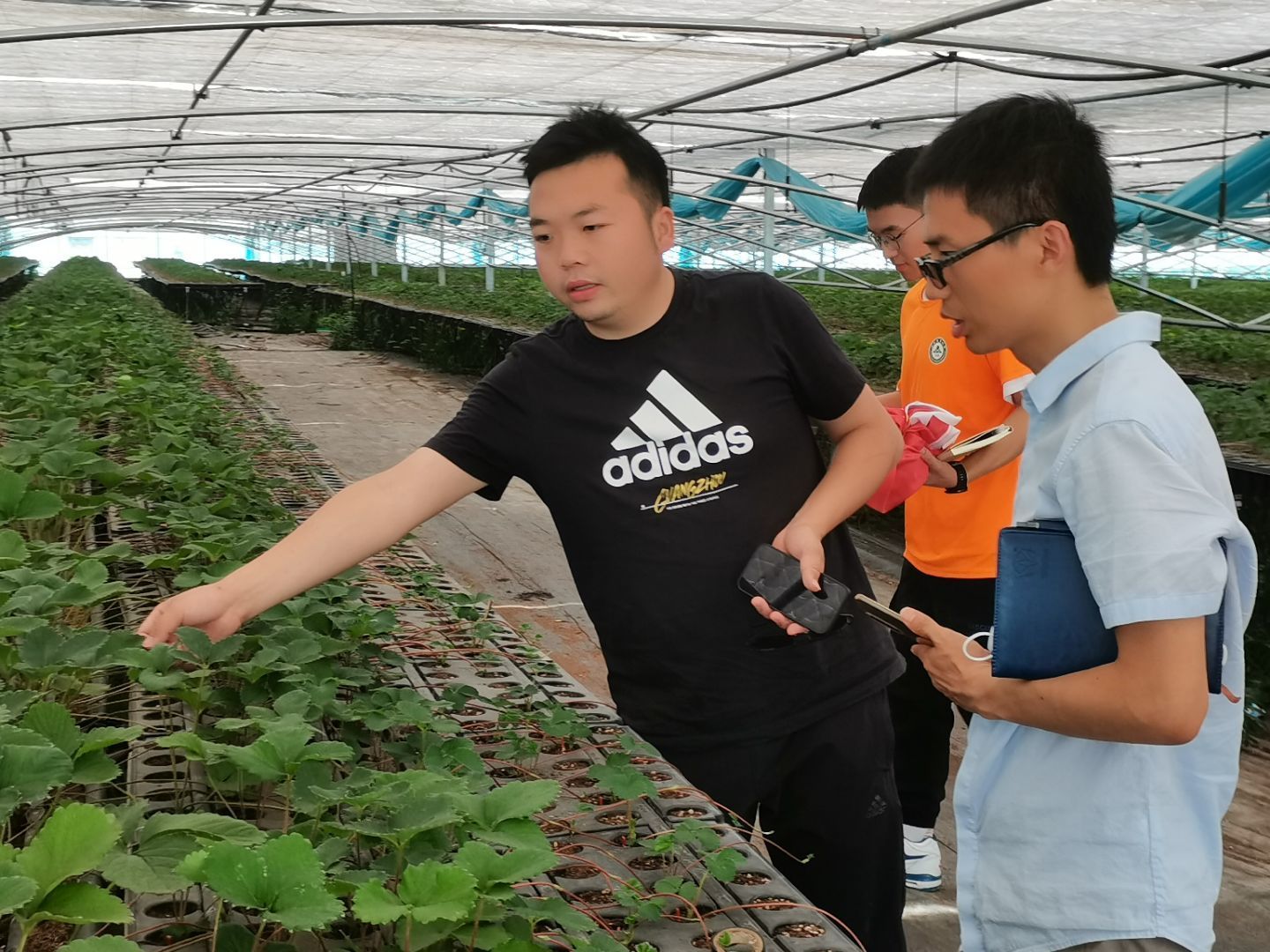 新农人乡村振兴创业挣钱吗,现代农业种植致富新项目