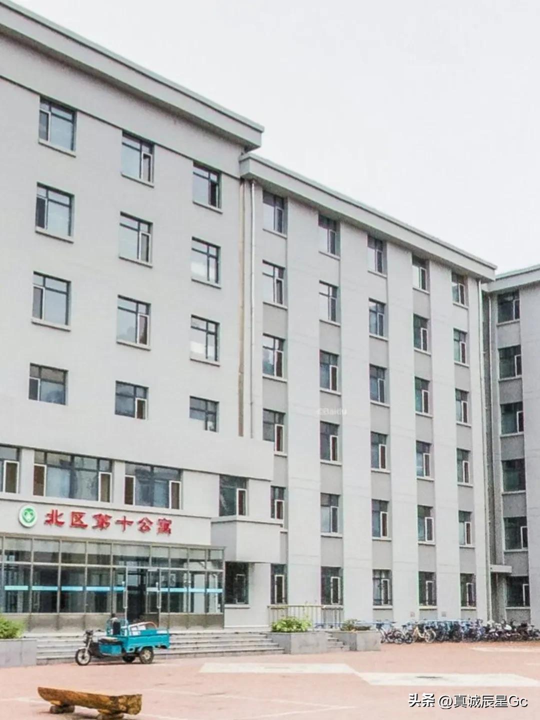 东北大学大数据专业就业,东北农大大数据专业怎么样