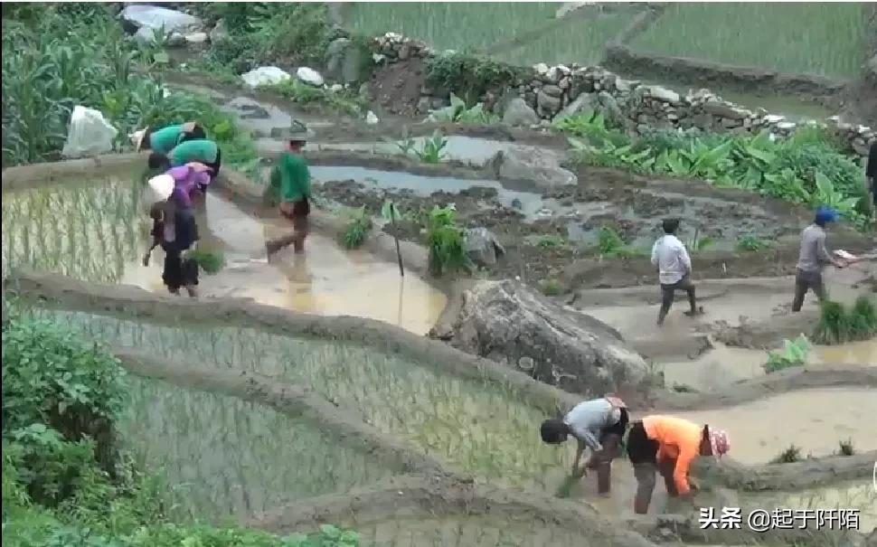 今天的越南现状 (越南真实现状如何)