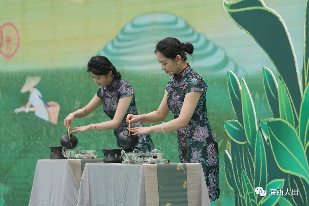 上海浦东大田美人茶迎来开茶季,海峡两岸美人茶大会福建大田举行